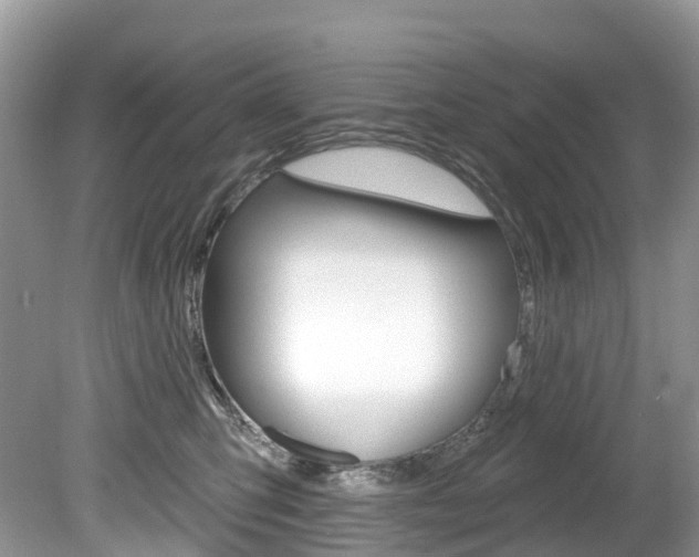 X0000080150423200612081057