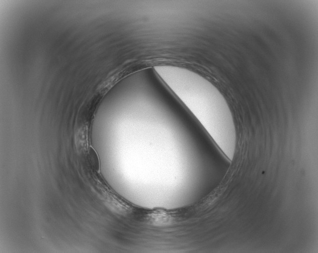 X0000080150425200612081057