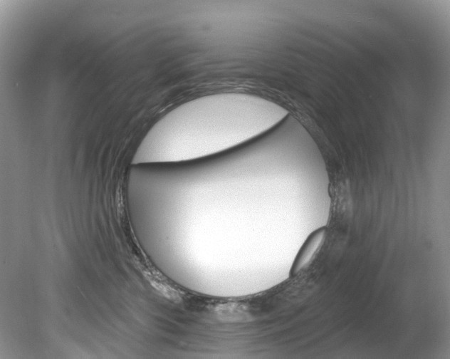 X0000080150426200612081057