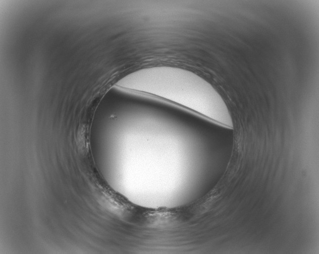 X0000080150428200612081057