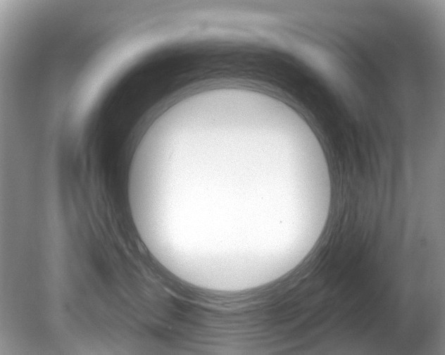 X0000080150431200612081057