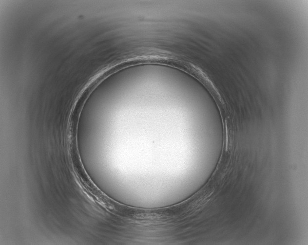 X0000080150435200612081056