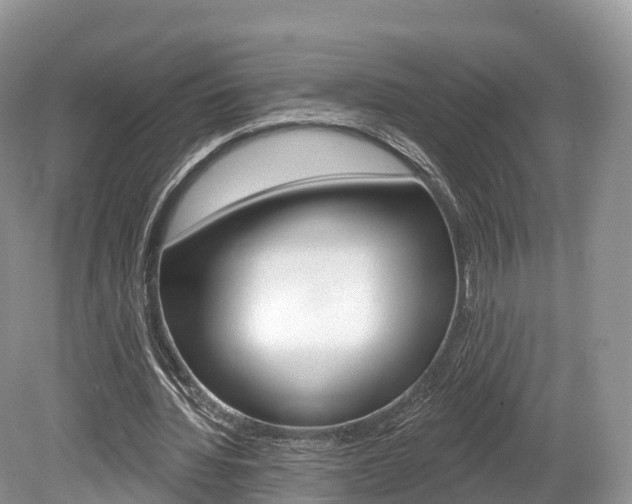 X0000080150436200612081056