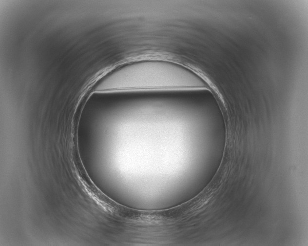 X0000080150437200612081056