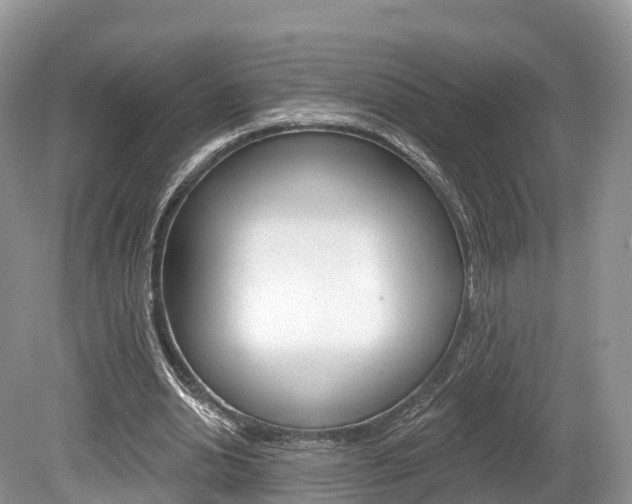 X0000080150438200612081056