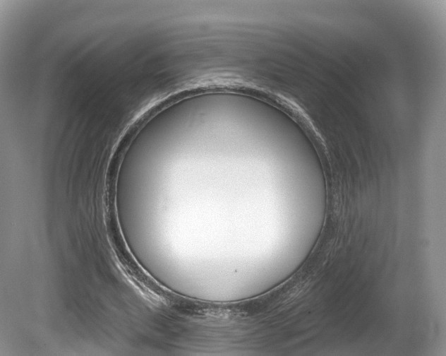 X0000080150439200612081056