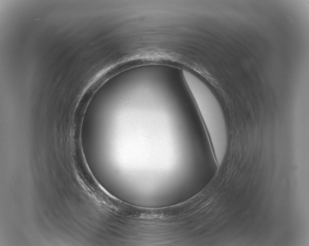 X0000080150440200612081056