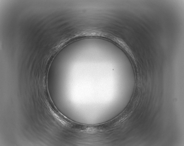 X0000080150441200612081056