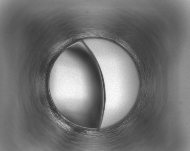 X0000080150442200612081056