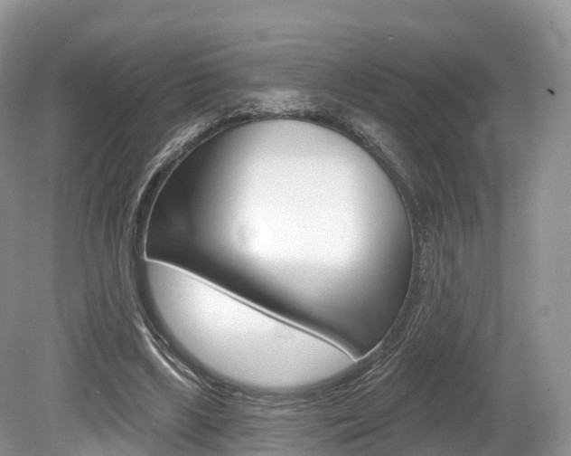 X0000080150443200612081056