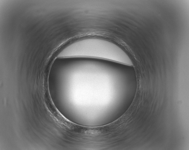 X0000080150444200612081056