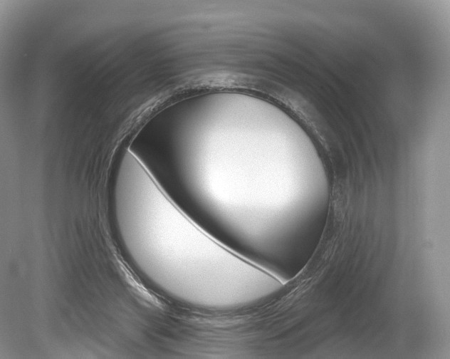 X0000080150445200612081056