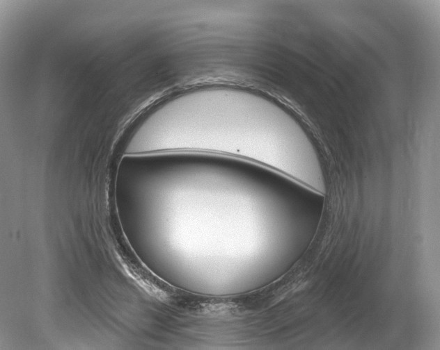 X0000080150446200612081056