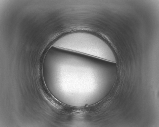 X0000080150447200612081056