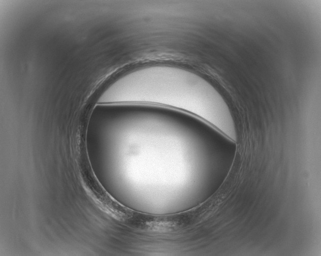 X0000080150448200612081056