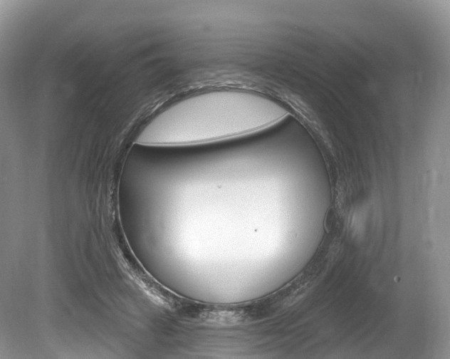 X0000080150449200612081056