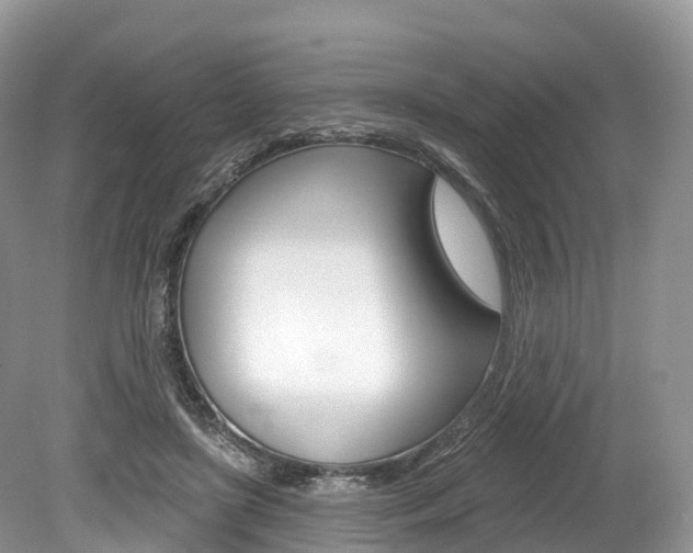 X0000080150451200612081056