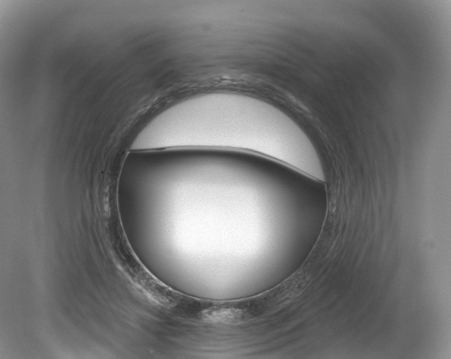 X0000080150452200612081057