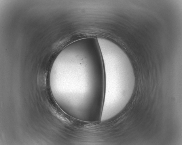 X0000080150454200612081057