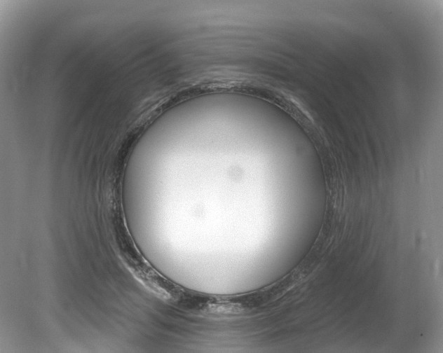 X0000080150455200612081057