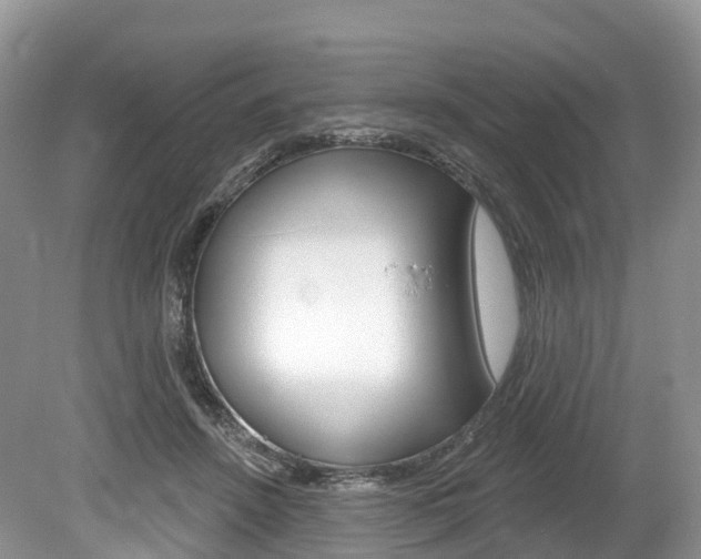 X0000080150456200612081057