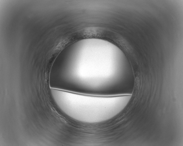 X0000080150458200612081057