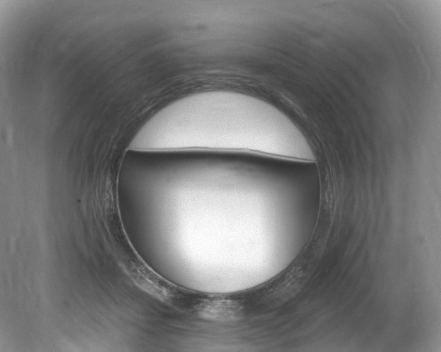 X0000080150459200612081057