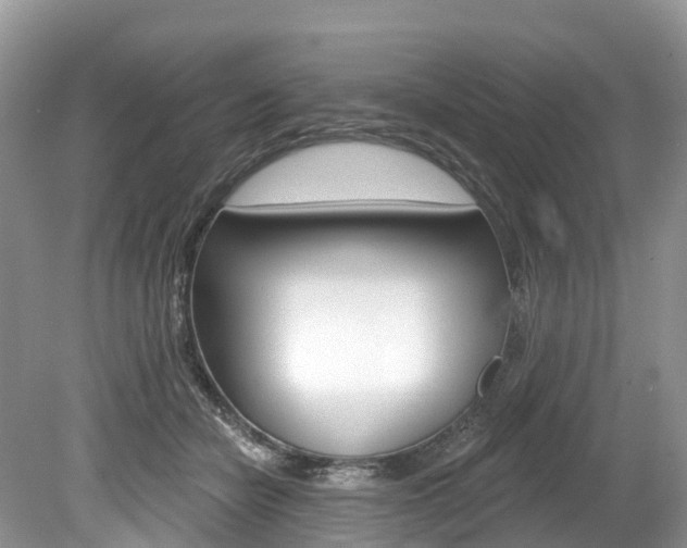 X0000080150462200612081057