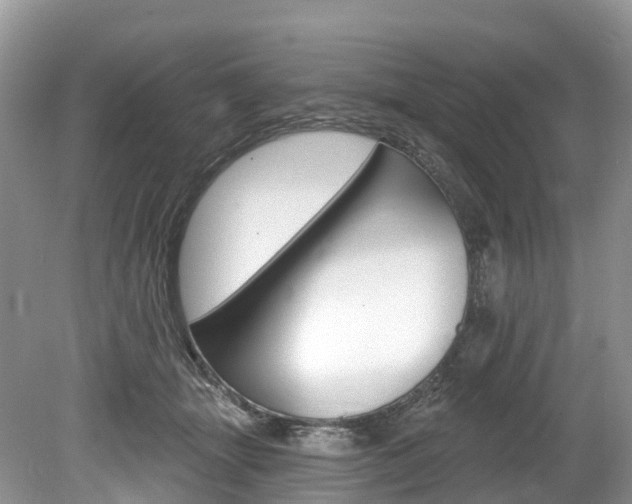 X0000080150463200612081057