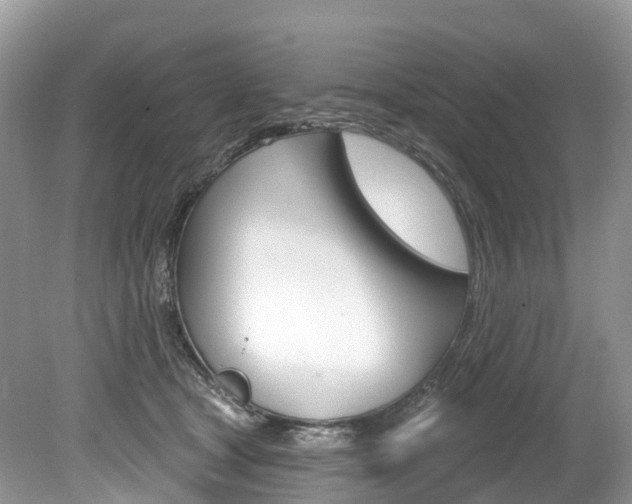 X0000080150465200612081057