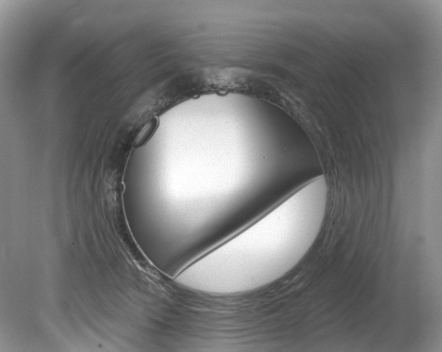 X0000080150466200612081057