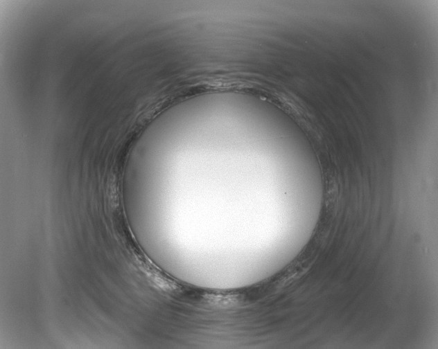 X0000080150469200612081057