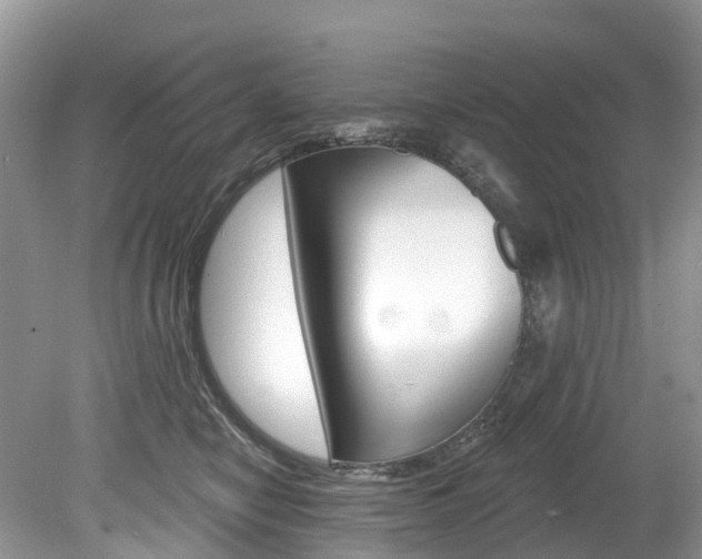 X0000080150470200612081057