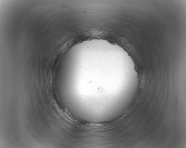X0000080150472200612081057