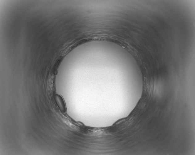 X0000080150475200612081057