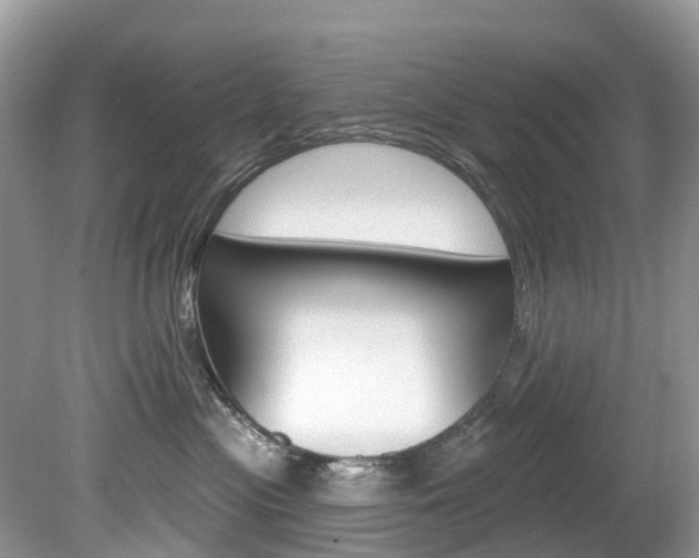 X0000080150477200612081057