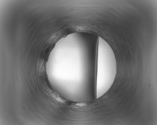 X0000080150478200612081057