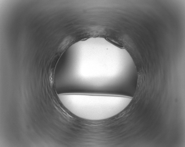 X0000080150479200612081057