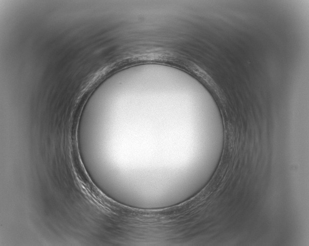 X0000080150482200612081056