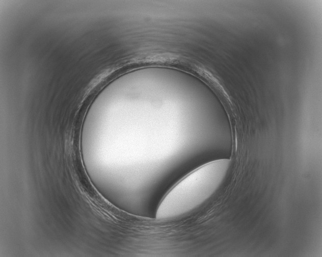 X0000080150483200612081056
