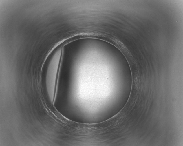X0000080150484200612081056