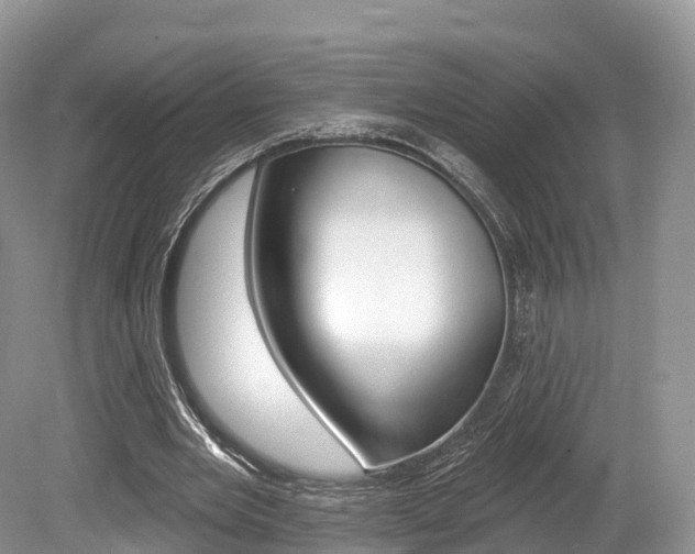 X0000080150485200612081056