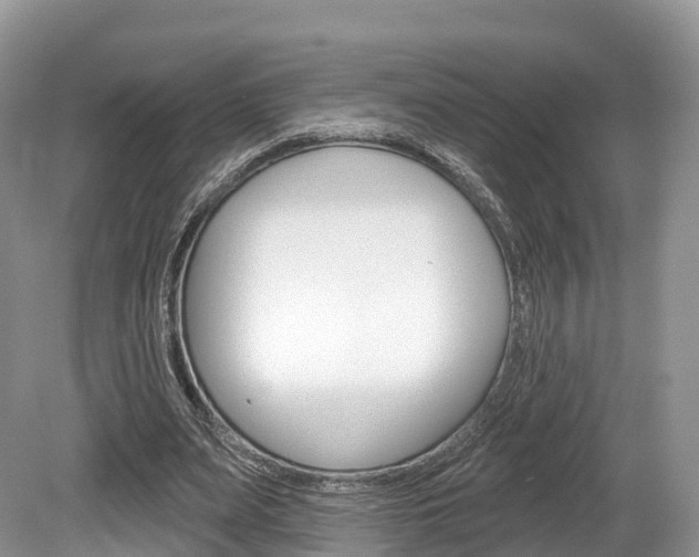 X0000080150487200612081056
