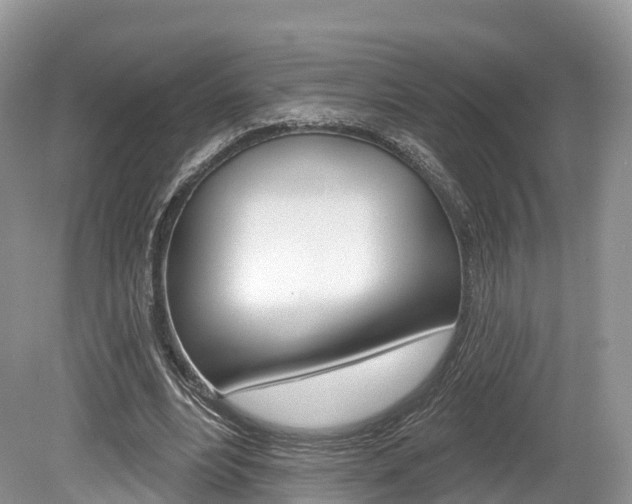 X0000080150488200612081056