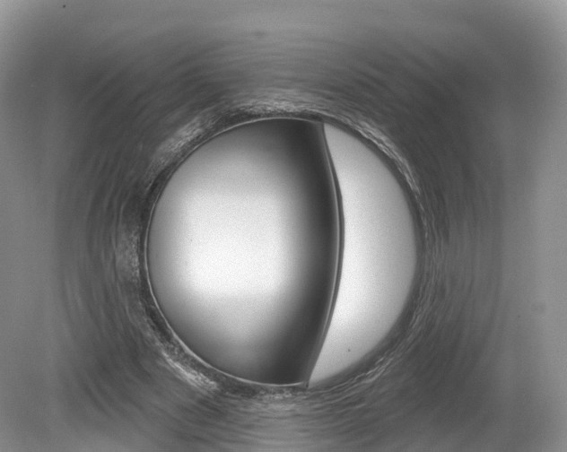 X0000080150489200612081056
