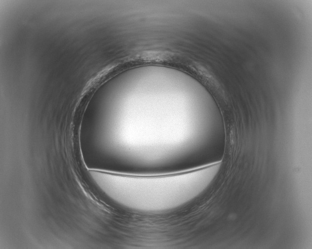 X0000080150492200612081056