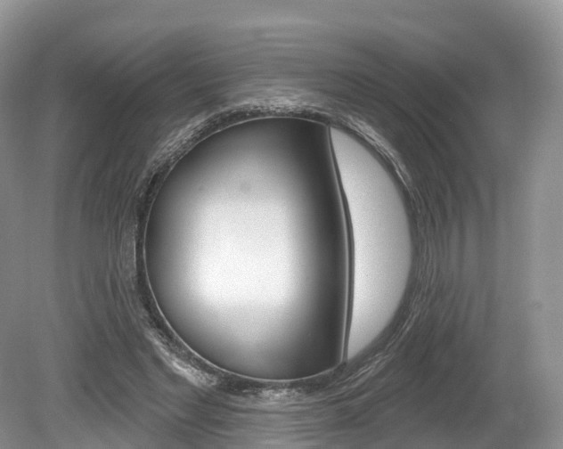 X0000080150493200612081056