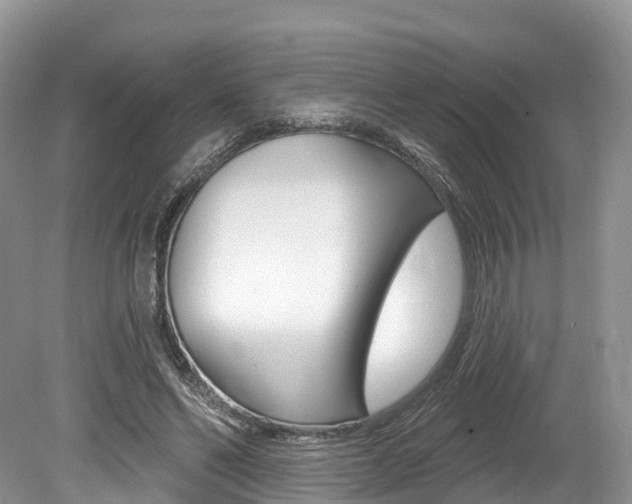 X0000080150494200612081056