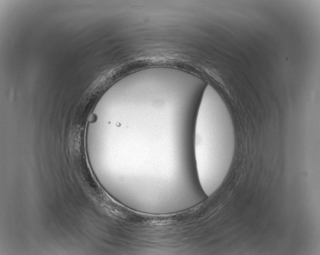 X0000080150495200612081056
