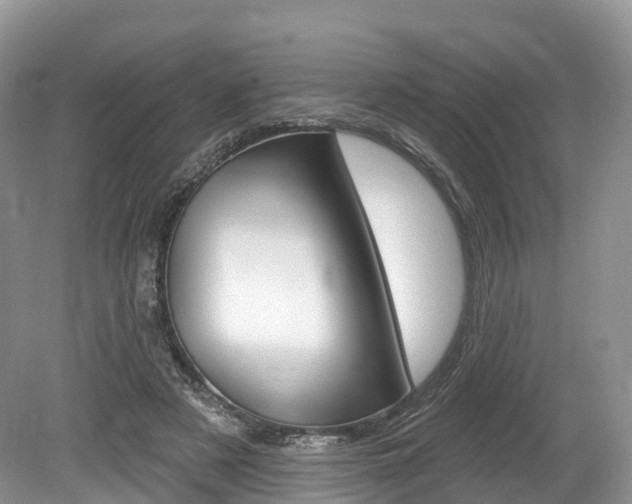 X0000080150497200612081056